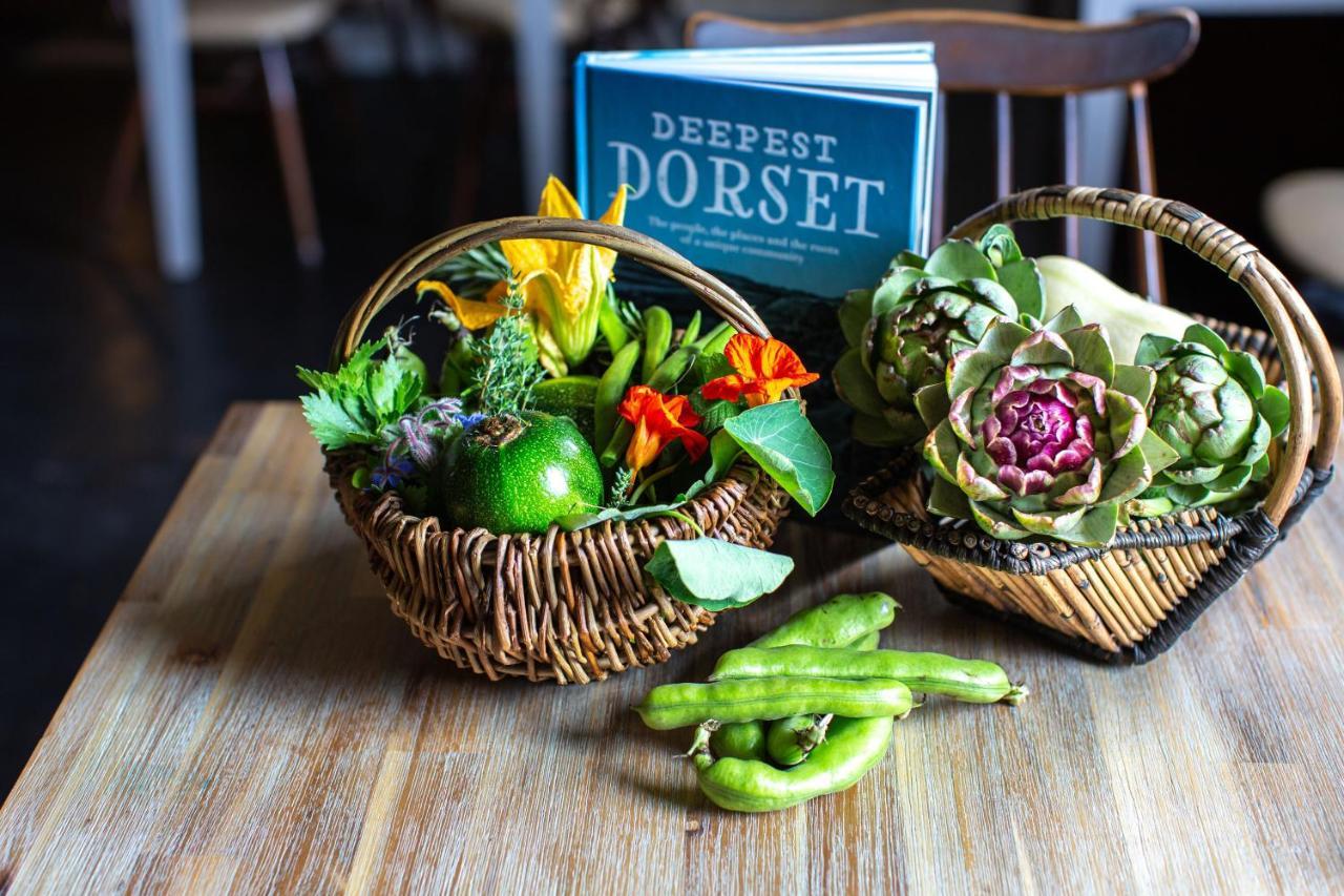 La Fosse At Cranborne Bed & Breakfast エクステリア 写真